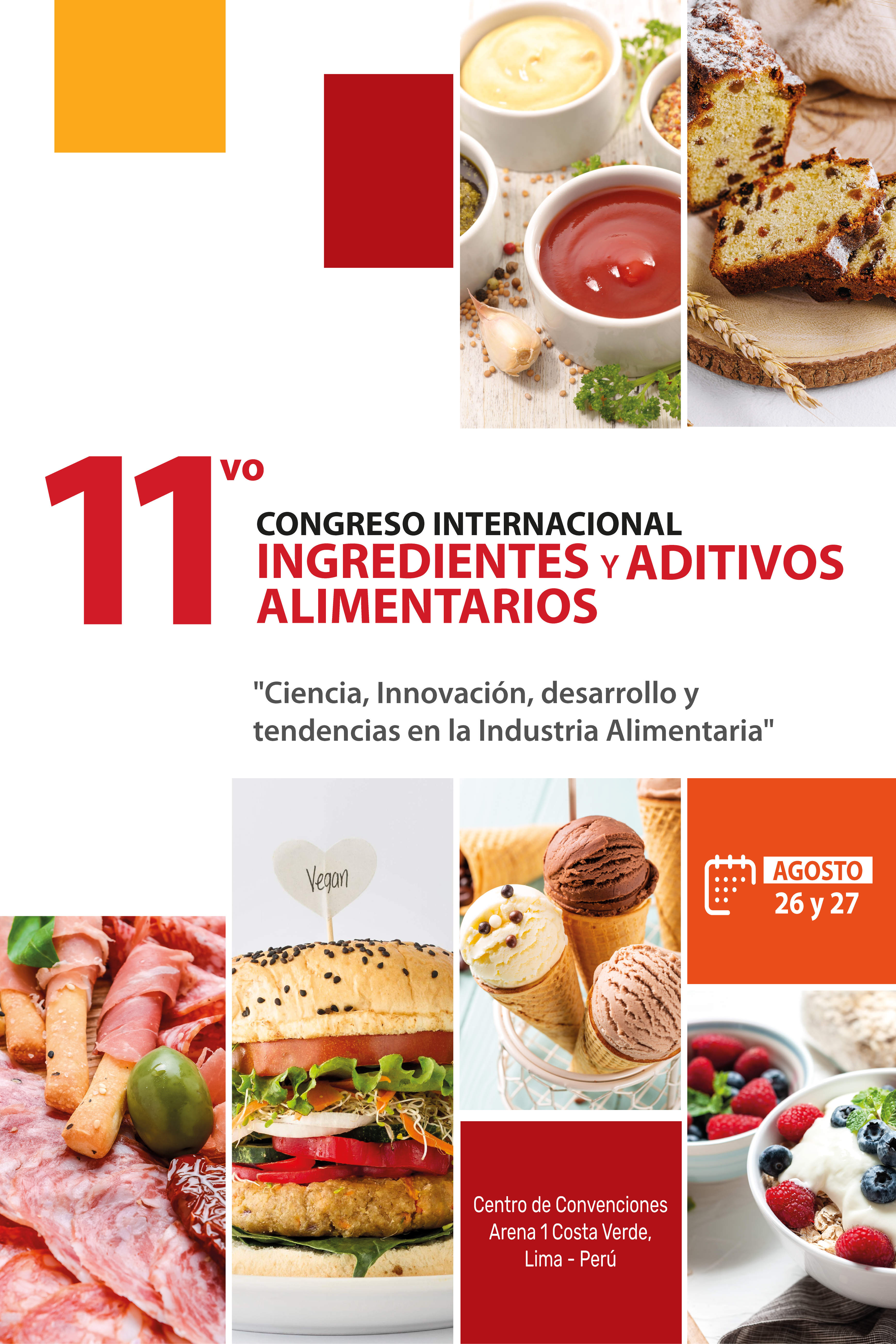 CONGRESO INTERNACIONAL 2026_silver